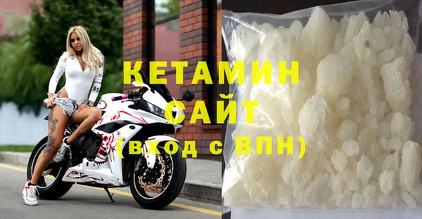 шишки Бородино