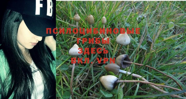 марки nbome Богородицк