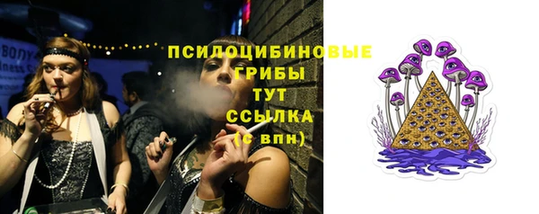 шишки Бородино