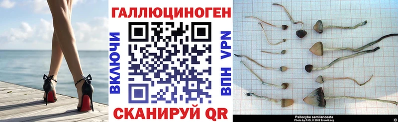 Галлюциногенные грибы MAGIC MUSHROOMS  купить наркотики сайты  Урус-Мартан 